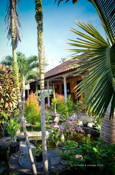 Jardin du Darta Homestay (Ubud, Bali, Indonésie)