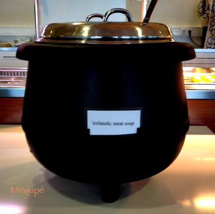 Islandia Nupar islande,islandia nupar,eyjafjallajokull,klaustur,voyage