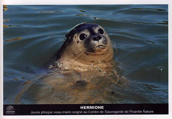 hermione-03-10-2011-11-00-45.jpg
