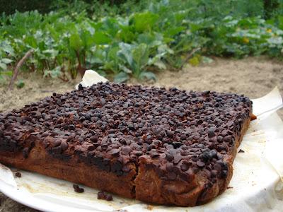 Brownie aux courgettes