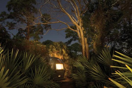 Frank Hallam Day Frank Hallam Day