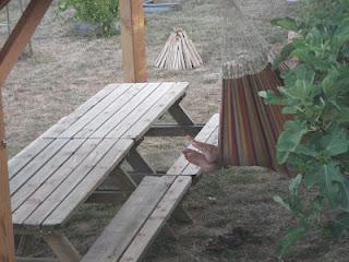 Auvent qu'on va appeler préau ? Auvent qu'on va appeler préau ?