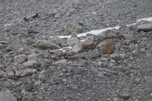 Tour de la Pointe de la Vallaisonnay Tour de la Pointe de la Vallaisonnay