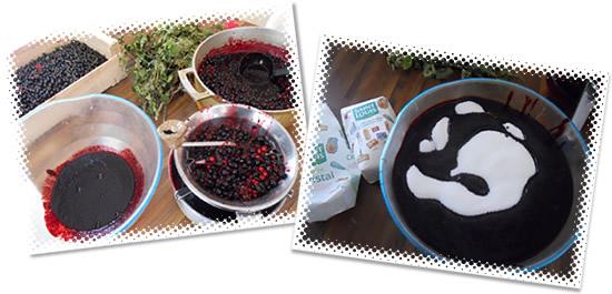 Confiture de cassis Confiture de cassis