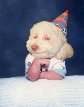 stoked-baby-8428-1268060649-253 Les 3 ans de la Chronique Facile