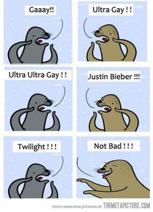 funny-gay-seal-scream Les 3 ans de la Chronique Facile