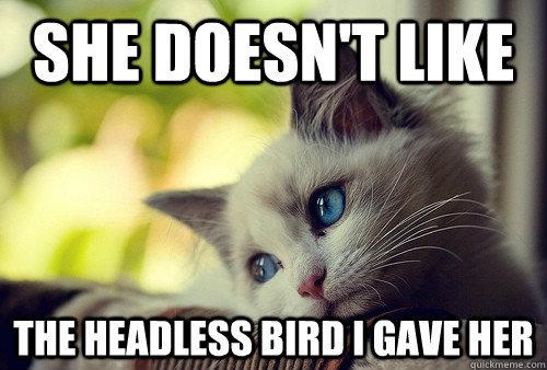 ee1 First World Problems : Que de malheurs !