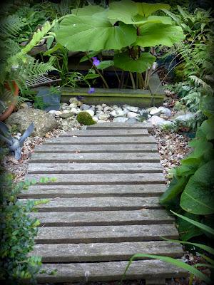 C'est l'été ! C'est l'été !