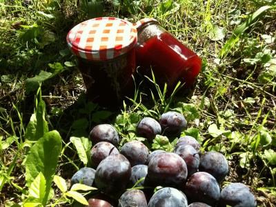 Confiture de prunes