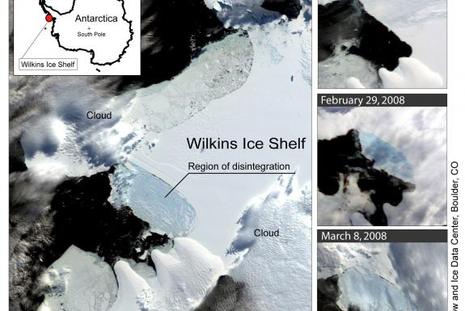 Les images satellite rassemblées par le Centre national de la neige et de la glace de l'Université du Colorado montrent que l'effondrement a commencé le 28 février quand un gros iceberg mesurant 41 km par 2,4 km s'est détaché d'un bord sud-ouest du plateau, entraînant d'autres morceaux. | Reuters/HO