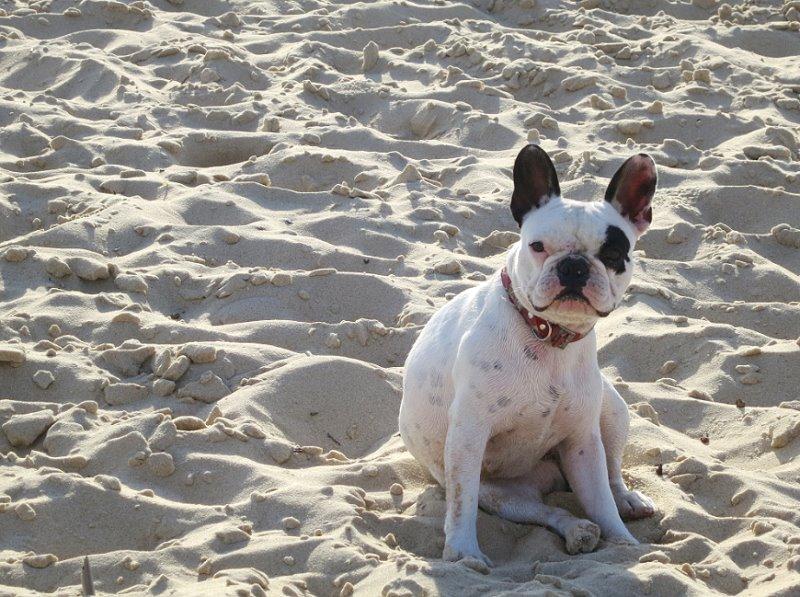 La Vélodyssée Electra hossegor 07 La Vélodyssée®