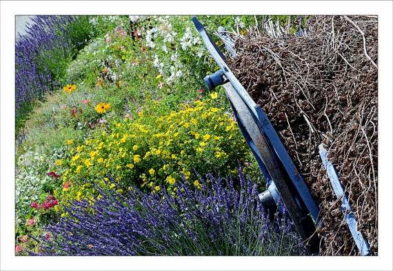 Un peu d'altitude... Montagne, Alpes, Pyrénées, Les Deux Alpes, Les 2 Alpes, VTT, Randonnée, Hélicoptère