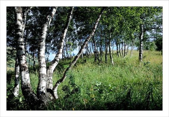 Un peu d'altitude... Montagne, Alpes, Pyrénées, Les Deux Alpes, Les 2 Alpes, VTT, Randonnée, Hélicoptère