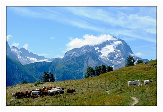 Un peu d'altitude... Montagne, Alpes, Pyrénées, Les Deux Alpes, Les 2 Alpes, VTT, Randonnée, Hélicoptère