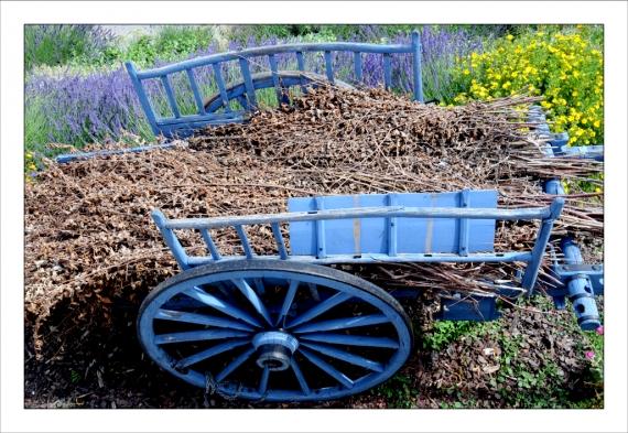 Un peu d'altitude... Montagne, Alpes, Pyrénées, Les Deux Alpes, Les 2 Alpes, VTT, Randonnée, Hélicoptère