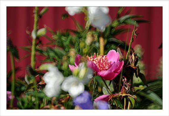 Un peu d'altitude... Montagne, Alpes, Pyrénées, Les Deux Alpes, Les 2 Alpes, VTT, Randonnée, Hélicoptère