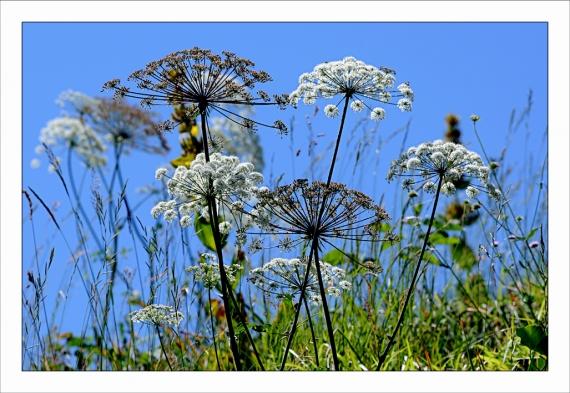 Un peu d'altitude... Montagne, Alpes, Pyrénées, Les Deux Alpes, Les 2 Alpes, VTT, Randonnée, Hélicoptère