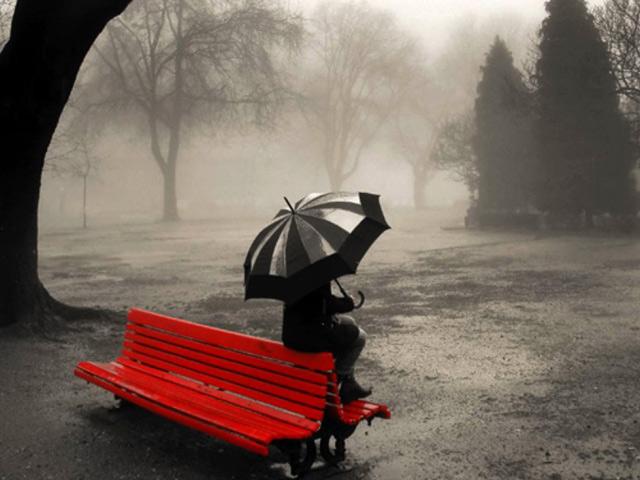 Parce que je ne veux plus jamais choisir Parce que je ne veux plus jamais choisir