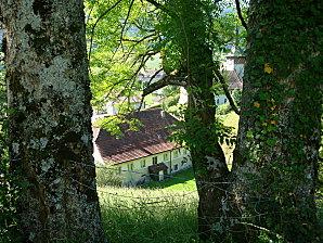 Le jour s'etourdit de lumiere Courtelary 013