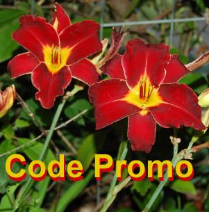 code promo achat jardin code promo achat jardin
