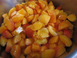 Tarte aux abricots meringuée IMG_6560