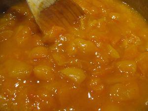 Tarte aux abricots meringuée IMG_6564