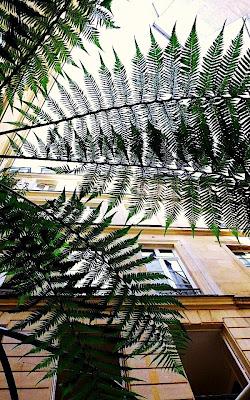 My Addresses, bar, restaurant: Le Patio Opéra - 5, rue Meyerbeer - Paris 9 My Addresses, bar, restaurant: Le Patio Opéra - 5, rue Meyerbeer - Paris 9