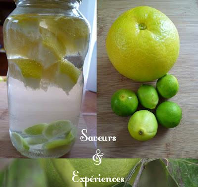 Vinaigre Bigarade & Citron Vert