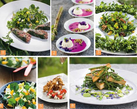 cuisine-plantes-sauvages-plats cuisine plantes