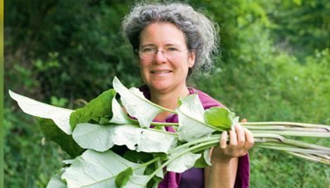 cuisine-plantes-sauvages-auteur cuisine des plantes