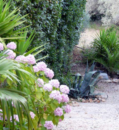 Nos photos de Juillet 2012 : jardins et bassins se préparent à affronter la sécheresse estivale ! Nos photos de Juillet 2012 : jardins et bassins se préparent à affronter la sécheresse estivale !