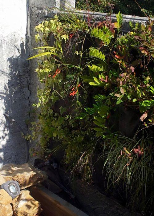 Nos photos de Juillet 2012 : jardins et bassins se préparent à affronter la sécheresse estivale ! Nos photos de Juillet 2012 : jardins et bassins se préparent à affronter la sécheresse estivale !