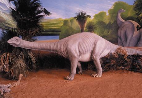 Titanosauresque Titanosauresque
