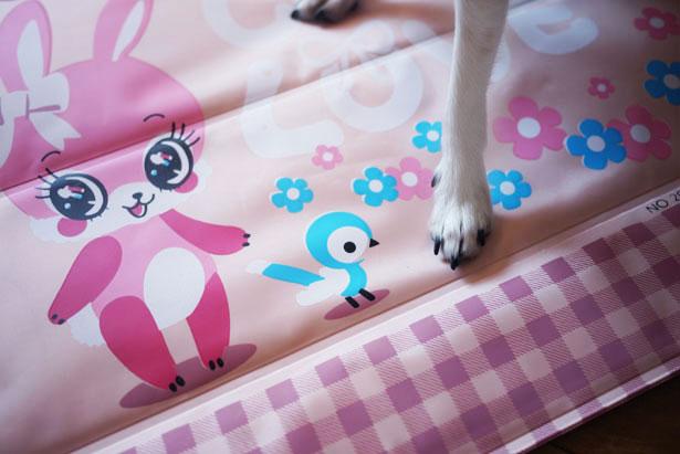 Tapis rafraĂŽchissant pour chiens Le tapis rafraîchissant cute pour chiens