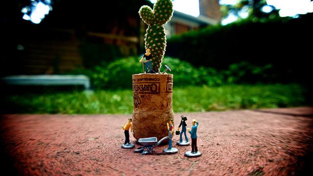 Jeudi Macro Folie #3...et il pleut des macros cadeaux !!! anteketborka.blogspot.com, cactus8