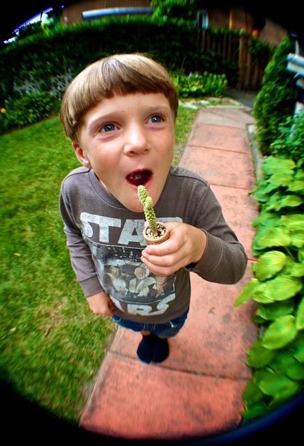 Jeudi Macro Folie #3...et il pleut des macros cadeaux !!! anteketborka.blogspot.com, cactus