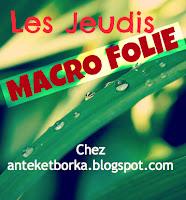 Jeudi Macro Folie #3...et il pleut des macros cadeaux !!! Jeudi Macro Folie #3...et il pleut des macros cadeaux !!!