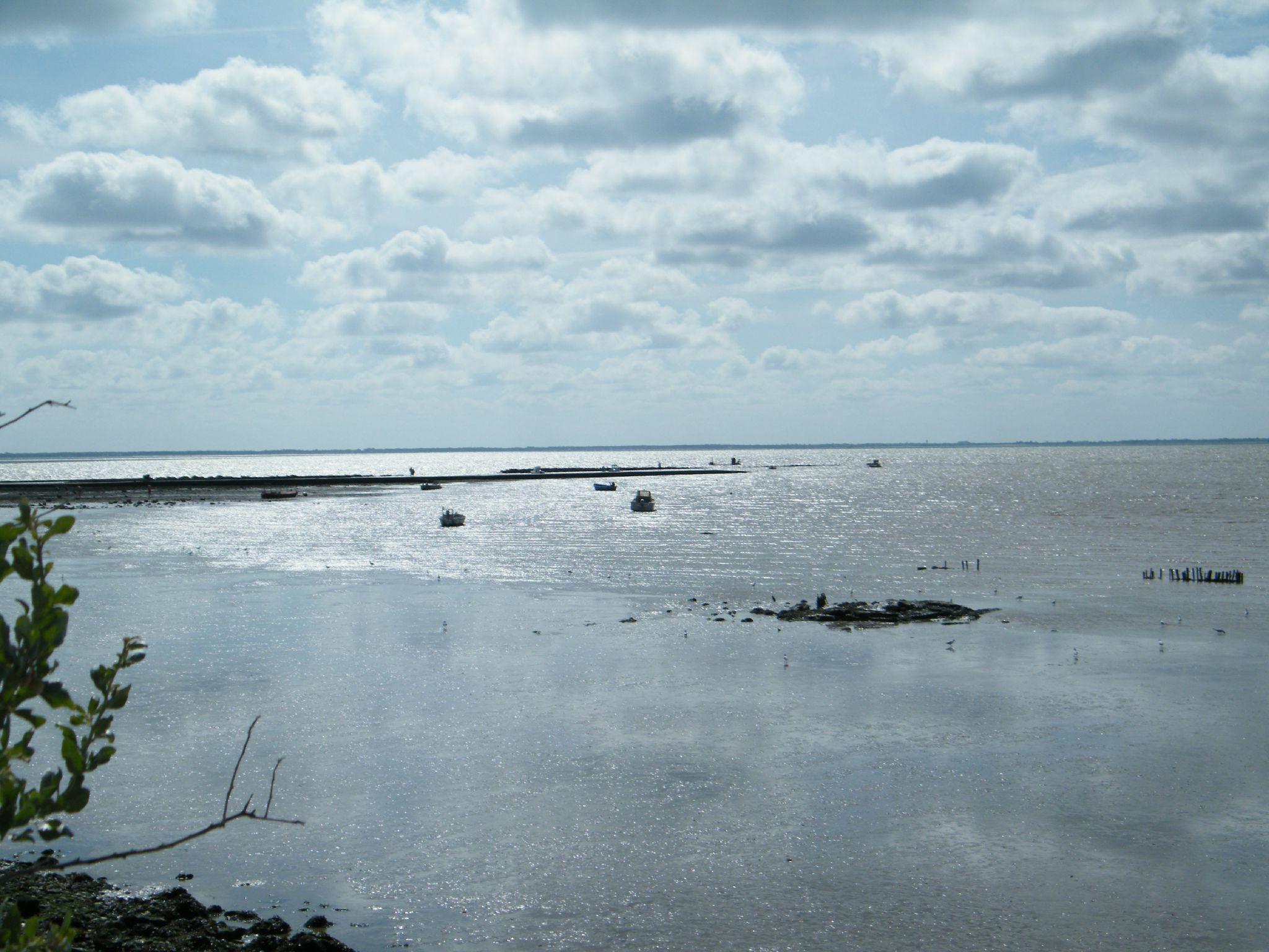 SUMMER ...
Il y avait Le Ciel, le Soleil & la Mer ...... DSCF9265