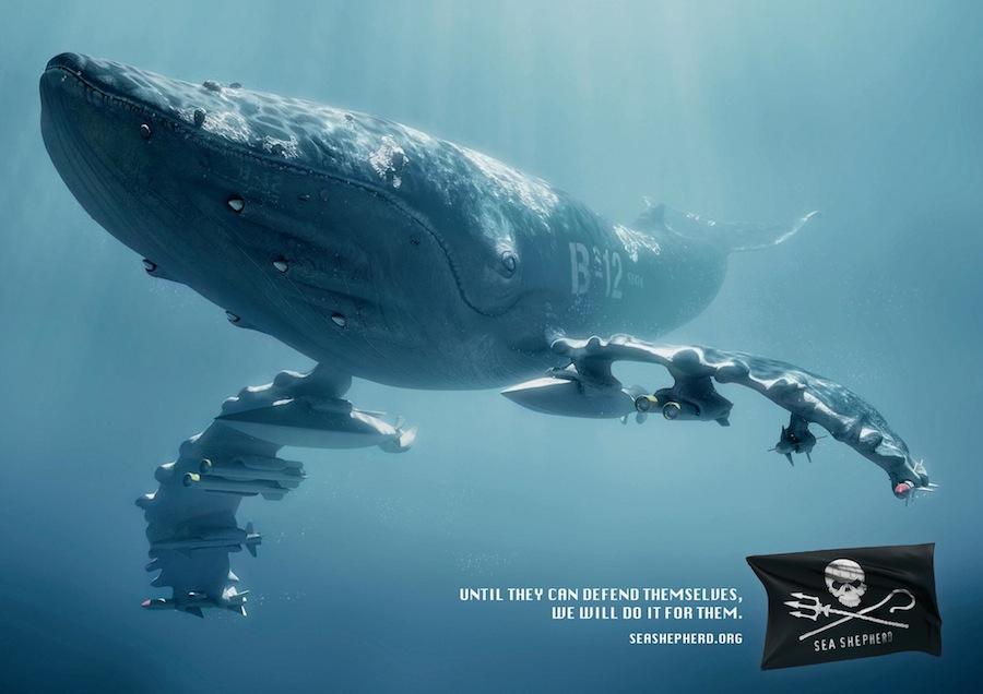 Leïla en vert et contre tout: Sea Shepherd et ses baleines à bombe
