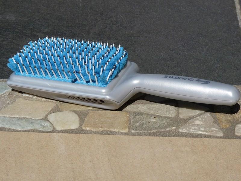 P1030519 (Copier) J’ai volé la brosse de Sully !