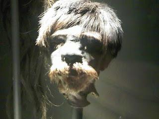 LES REDUCTEURS DE TÊTE LES REDUCTEURS DE TÊTE