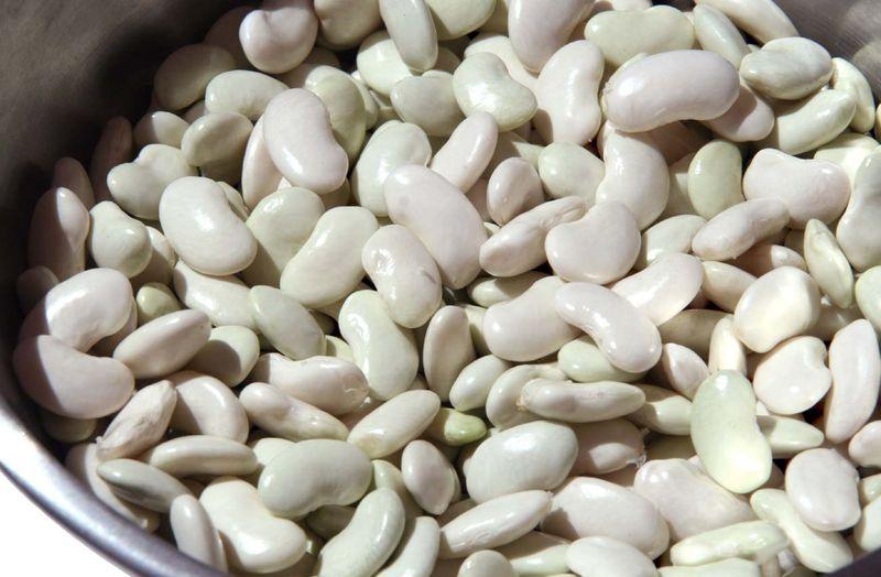 Beans tarbais