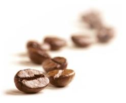 PARKINSON: 4 tasses de café par jour pour réduire les tremblements – Neurology
