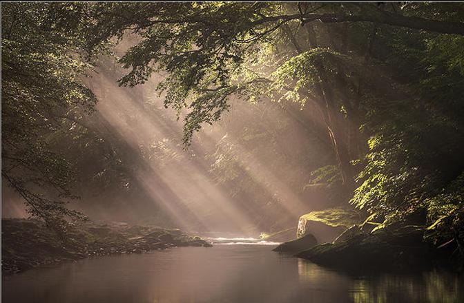 PORTRAIT DE KARL. PORTRAIT DE KARL.