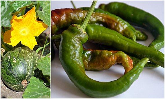 Tarte fine aux courgettes et piments doux sautés et au pesto de basilic Montage-courgette-piment.jpg