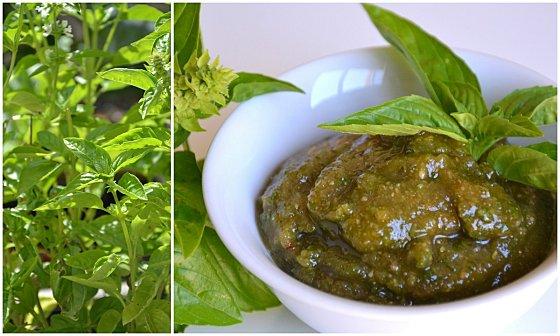 Tarte fine aux courgettes et piments doux sautés et au pesto de basilic Montage-pesto-basilic.jpg