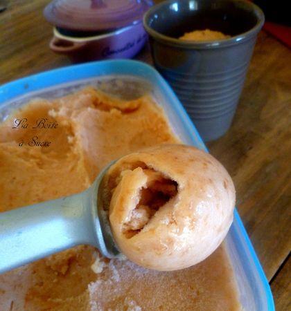 Sorbet aux nectarines jaunes Glace nectarine 4