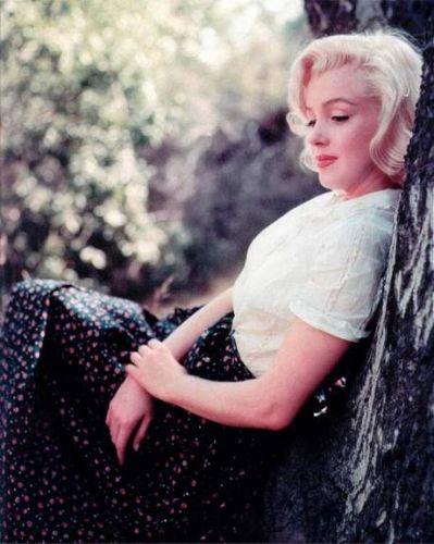 437683bf-b31d-87d4-86b0-e65d35ad9d02 Exposition : Marilyn Monroe, une collection unique de Photographies