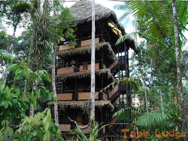 tapir lodge tapir lodge