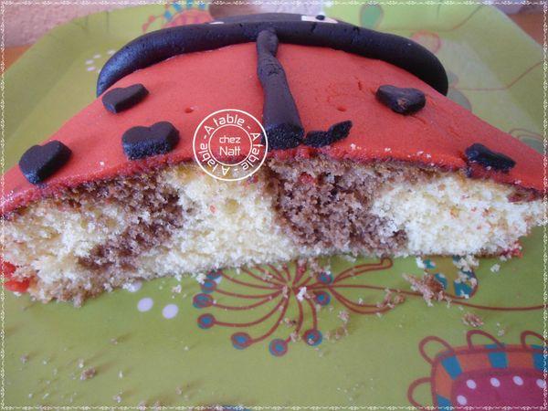 Coccinelle coccinelle 2